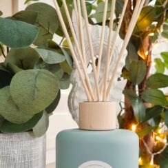 Matt Diffuser Tall in Lagoon Mint 200mls